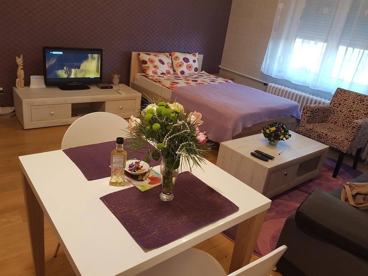 Sara - Modern Apartment In The City Center Novi Sad Exterior photo